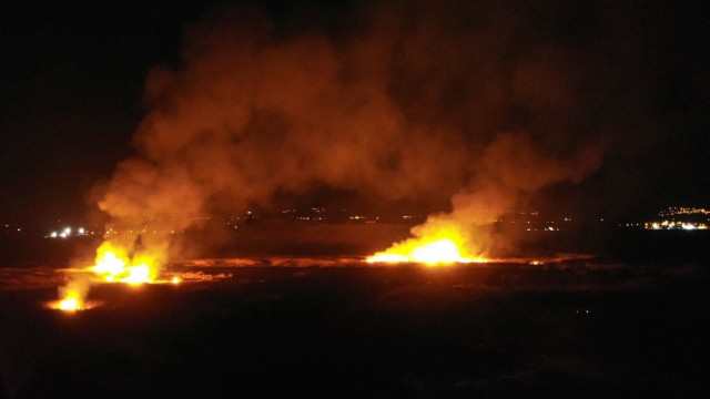 Erzincanda kuş cennetinde yangın