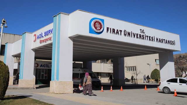 Eşek, çocuğun kafasını ısırdı