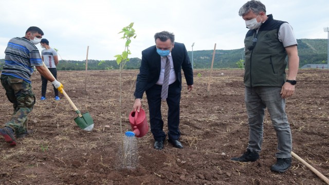 ESOGÜ Meşelik yerleşkesinde 260 katalpa fidanı toprakla buluşturuldu