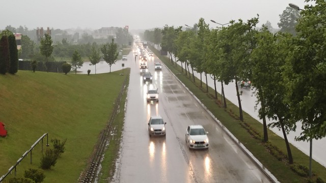 Filistin için tek yürek oldular