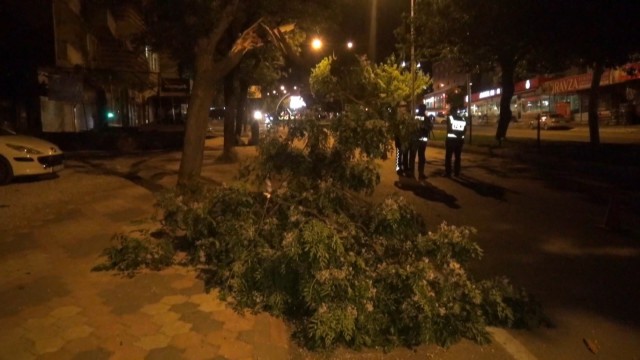 Fırtına ağaçları devirdi, binaların kaplamasını uçurdu
