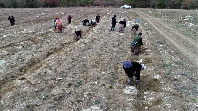 Gelir getirici türlerle köylülere destek