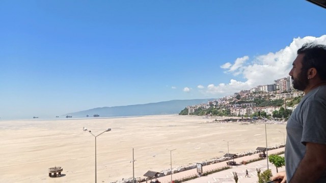 Gemlik körfezinde salya istilası