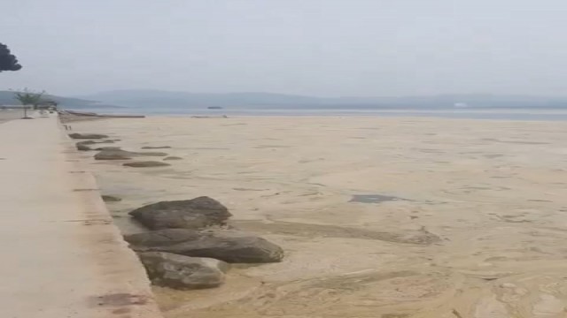 Gemlik Narlı sahilleri beyaza büründü