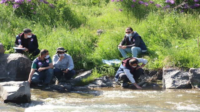 Göç yolunda oksijensiz kalan balıklar için can suyu takviyesi