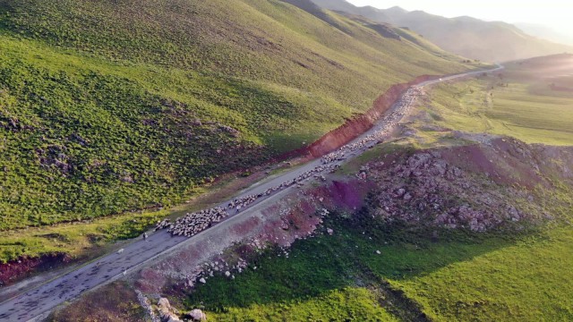 Göçerlerin zorlu göçü havadan görüntülendi