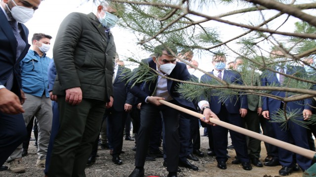 Gökdere Millet Bahçesinin ilk fidanı Bakan Kurumdan