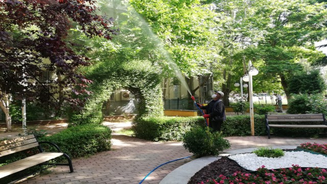 Gölbaşında ilaçlama devam ediyor