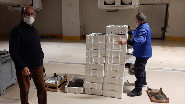 Gürpınar Su Ürünleri Halinde denetim