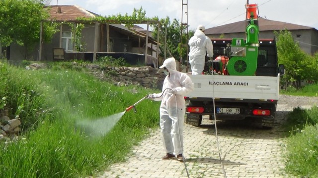 Hakkaride çekirge istilası