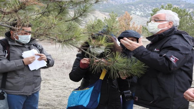 Hanönü ormanlarında artan ağaç kurumaları incelemeye alındı