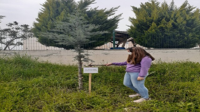 Hayatını kaybeden sağlık çalışanları için fidan diktiler