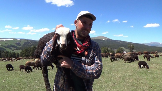Iğdırdan Sarıkamışa göçerlerin zorlu yayla yolculuğu