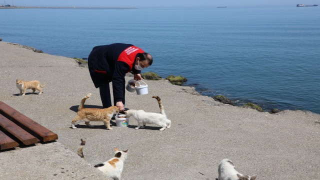 İlkadımda hayvan sevgisine yasak yok