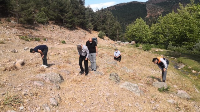 İslahiyede çekirge istilası sona erdi