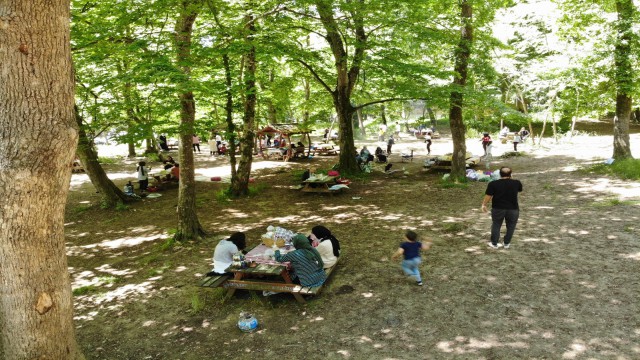 İstanbullular Belgrad Ormanına akın etti