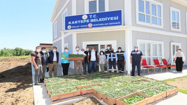 İzmit Belediyesinden ildeki tüm çiftçilere fide desteği