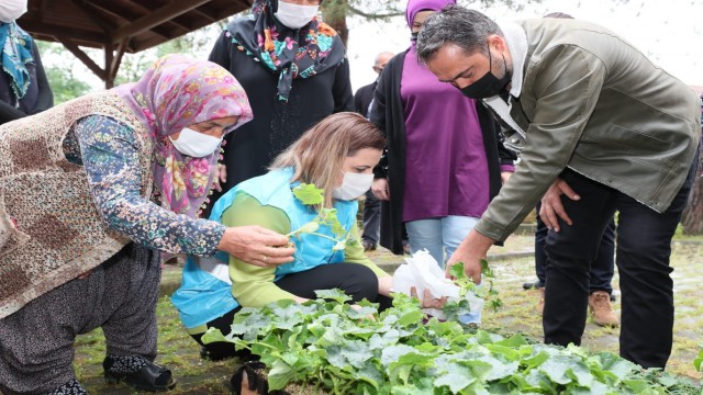 İzmit köylülerine 144 bin hibe fide
