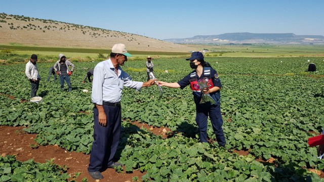 Jandarma tarladaki çiftçilerin gününü kutladı