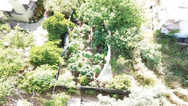 Jandarmadan uyuşturucu operasyonu