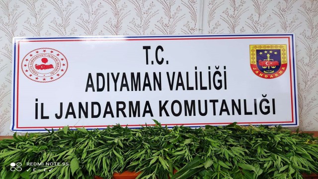 Jandarmadan uyuşturucu operasyonu