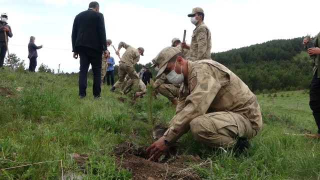 Jandarmanın kuruluş yıl dönümü anısına 182 fidan dikildi