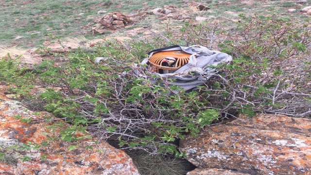 Kaçak avcıyı jandarma avladı