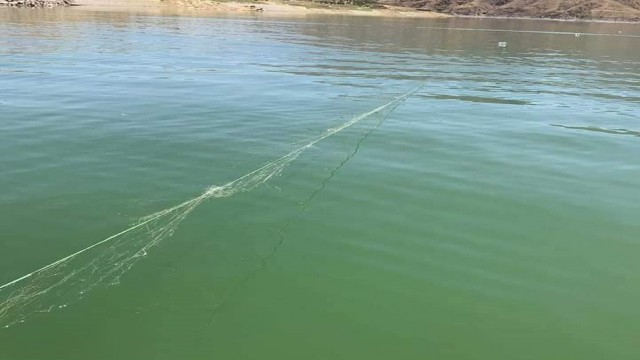 Kaçak avda kullanılan 2 bin metre ağ ele geçirildi, balıklar tekrar suya salındı