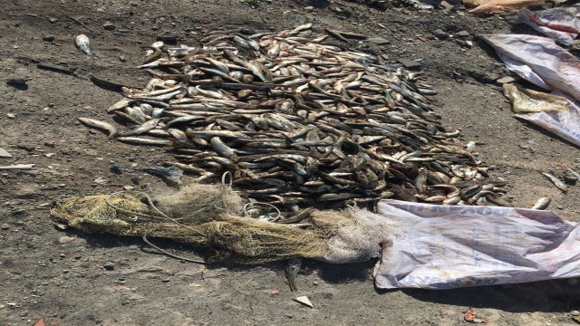 Kaçak avlanmanın cezası ağır oldu