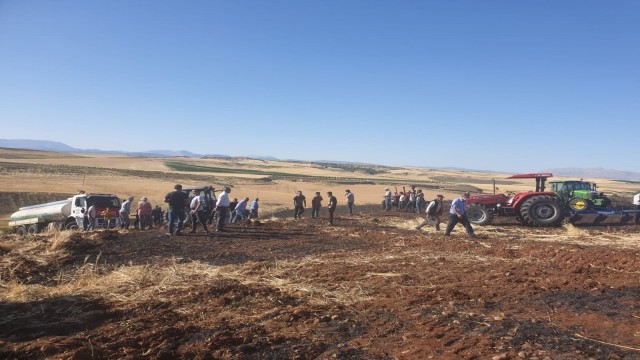 Kahtada 200 dönümlük arpa ekili alan yandı