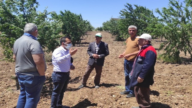 Kahtada bahçeleri fırtına vurdu