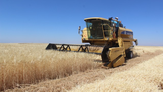 Kahtada hububat hasadı başladı