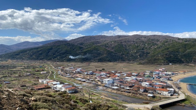 Kapıdağ mor soğanında zarar yok