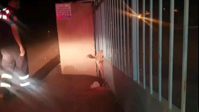 Kapının demir parmaklıklarına sıkışan köpeği itfaiye ekipleri kurtardı