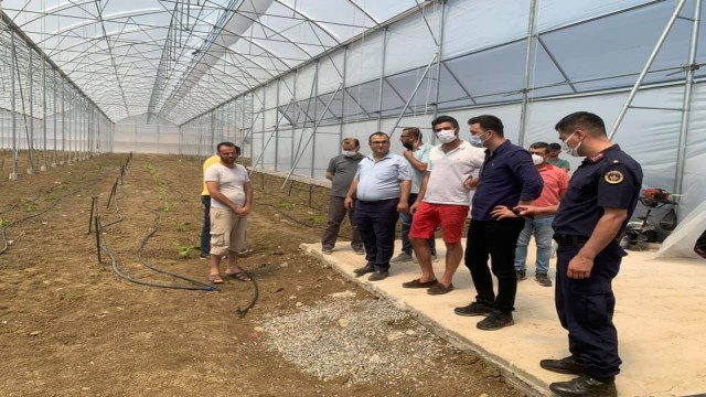 Karaisalıda muz üretimi artıyor