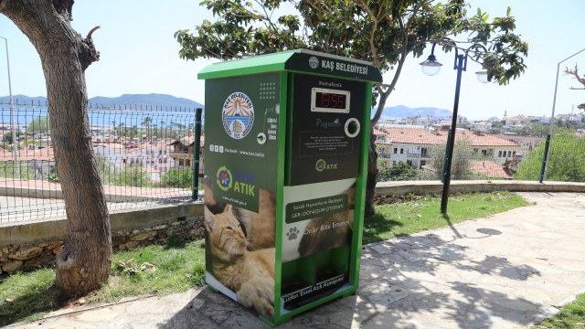 Kaşta sokak hayvanları için mamamatik hizmeti