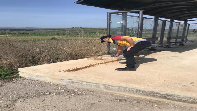 Kastamonu Belediyesi, sokak hayvanları ile kuşları besledi
