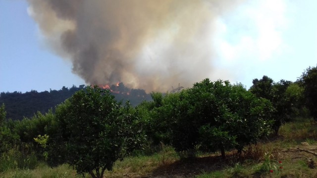 Kastamonuda ormanlık alanda çıkan yangın kontrol altına alındı
