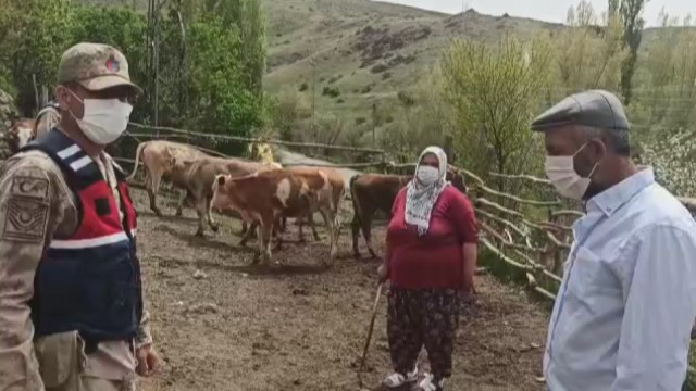 Kaybolan sürüyü jandarma buldu