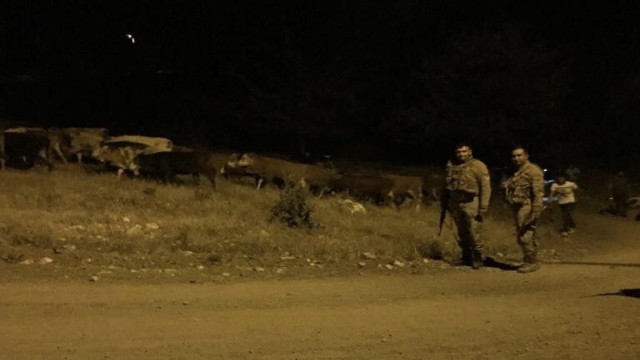 Kayıp hayvanlar, gece görüş termalleriyle bulundu