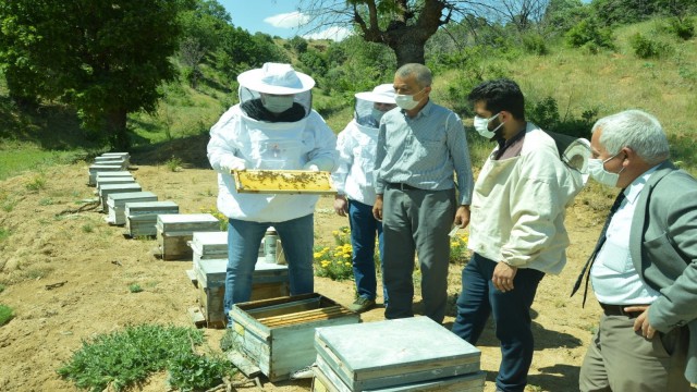 Kaymakam Uçar, bal arılarını inceledi