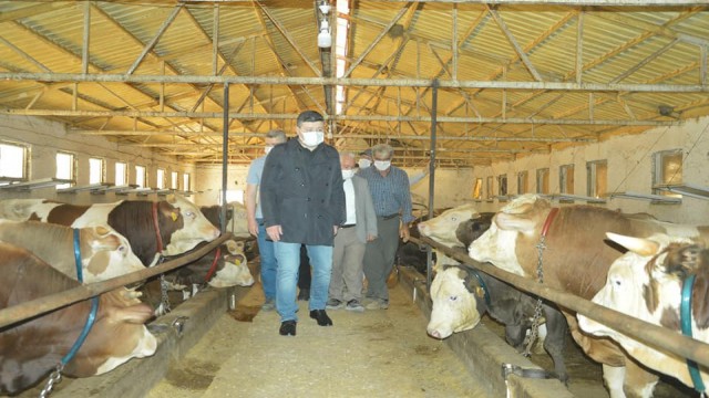 Kaymakam Uçar, çiftlikte incelemelerde bulundu