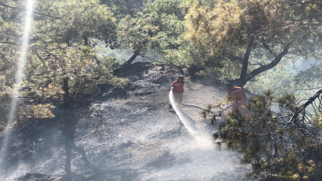 Kemerdeki orman yangını büyümeden söndürüldü