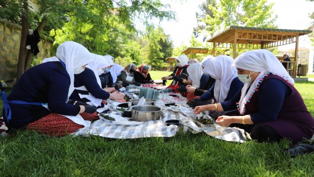 Kiraz yaprağı sarmasının satışı Türkiyenin dört bir yanına yapılacak