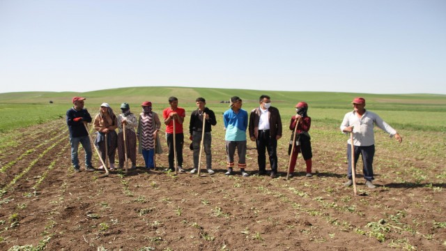 Kısıtlamadan muaf olan çiftçiler bayramı tarlada geçirdi