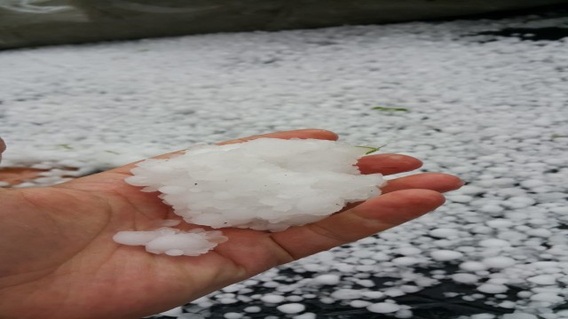Kocaelinin yüksek kesimlerinde dolu yağışı etkili oldu