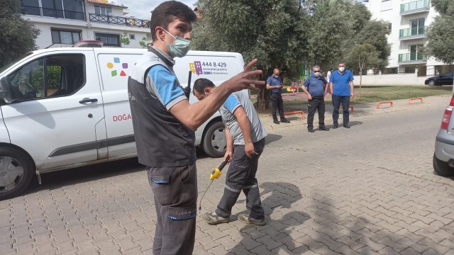 Kokuyu herkes duydu, kaçağı kimse bulamadı