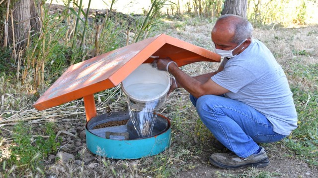 Konyaaltında minik dostlar yalnız kalmadı