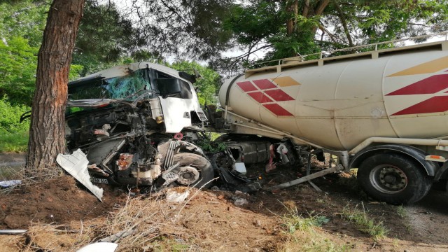 Köpeğe çarpmamak için direksiyonu kırdı, ölümden döndü