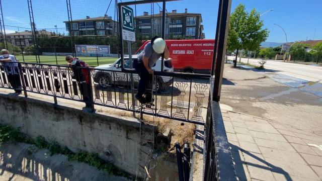 Köpek korkusundan sığındığı köprü altında mahsur kaldı
